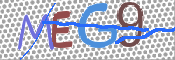 画像に表示された文字を入力して下さい
