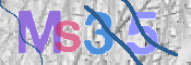 画像に表示された文字を入力して下さい
