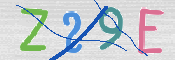 画像に表示された文字を入力して下さい