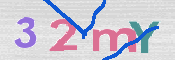 画像に表示された文字を入力して下さい