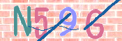 画像に表示された文字を入力して下さい