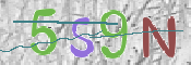 画像に表示された文字を入力して下さい