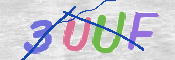 画像に表示された文字を入力して下さい
