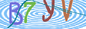 画像に表示された文字を入力して下さい