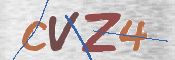 画像に表示された文字を入力して下さい