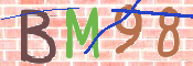 画像に表示された文字を入力して下さい