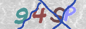 画像に表示された文字を入力して下さい