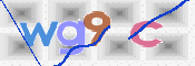 画像に表示された文字を入力して下さい
