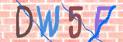 画像に表示された文字を入力して下さい