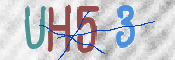 画像に表示された文字を入力して下さい