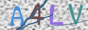 画像に表示された文字を入力して下さい