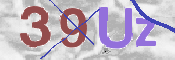 画像に表示された文字を入力して下さい