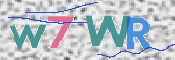画像に表示された文字を入力して下さい