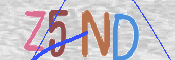 画像に表示された文字を入力して下さい