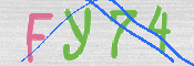 画像に表示された文字を入力して下さい