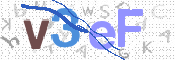 画像に表示された文字を入力して下さい