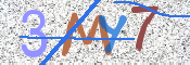 画像に表示された文字を入力して下さい