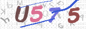 画像に表示された文字を入力して下さい