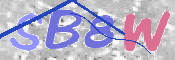 画像に表示された文字を入力して下さい