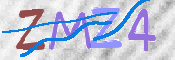 画像に表示された文字を入力して下さい