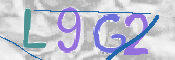 画像に表示された文字を入力して下さい