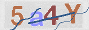 画像に表示された文字を入力して下さい
