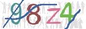 画像に表示された文字を入力して下さい