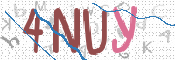 画像に表示された文字を入力して下さい