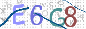 画像に表示された文字を入力して下さい