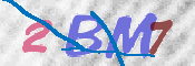 画像に表示された文字を入力して下さい