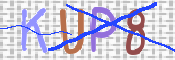 画像に表示された文字を入力して下さい