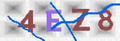 画像に表示された文字を入力して下さい