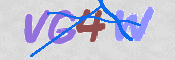 画像に表示された文字を入力して下さい