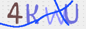 画像に表示された文字を入力して下さい