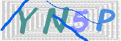 画像に表示された文字を入力して下さい