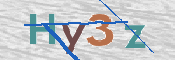 画像に表示された文字を入力して下さい