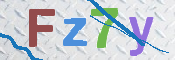 画像に表示された文字を入力して下さい