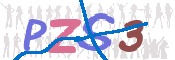 画像に表示された文字を入力して下さい