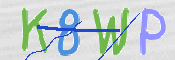 画像に表示された文字を入力して下さい