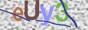画像に表示された文字を入力して下さい
