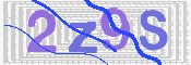 画像に表示された文字を入力して下さい