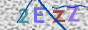 画像に表示された文字を入力して下さい