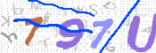 画像に表示された文字を入力して下さい