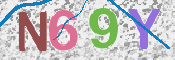 画像に表示された文字を入力して下さい