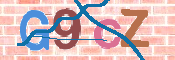 画像に表示された文字を入力して下さい