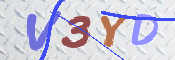 画像に表示された文字を入力して下さい