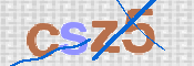 画像に表示された文字を入力して下さい