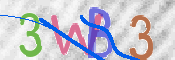 画像に表示された文字を入力して下さい