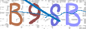 画像に表示された文字を入力して下さい