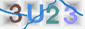 画像に表示された文字を入力して下さい